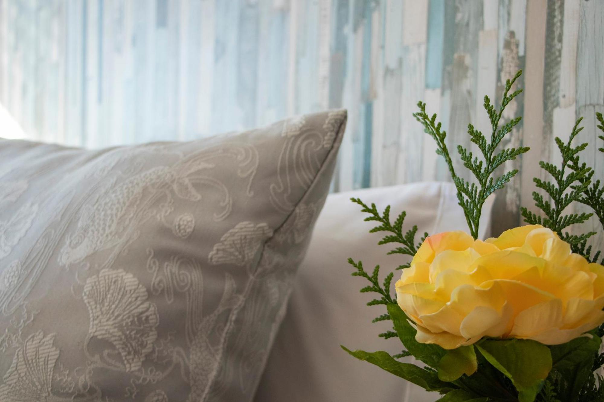 Luxury Singular Apartment